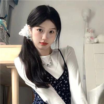 盗贼泰瑞莎